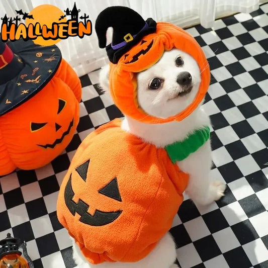 Halloween Pumpkin Vest For Dogs and Cats