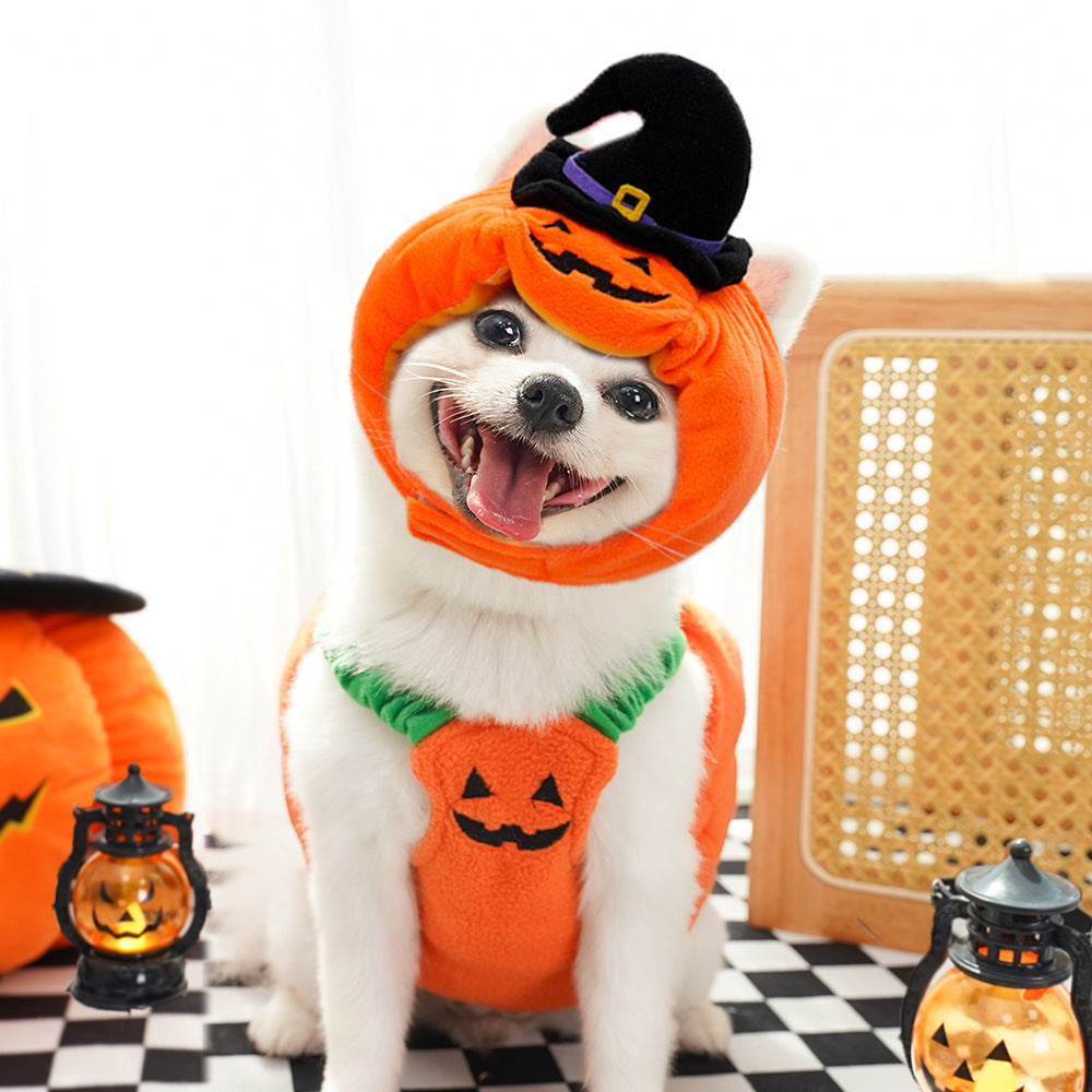 Halloween Pumpkin Vest For Dogs and Cats