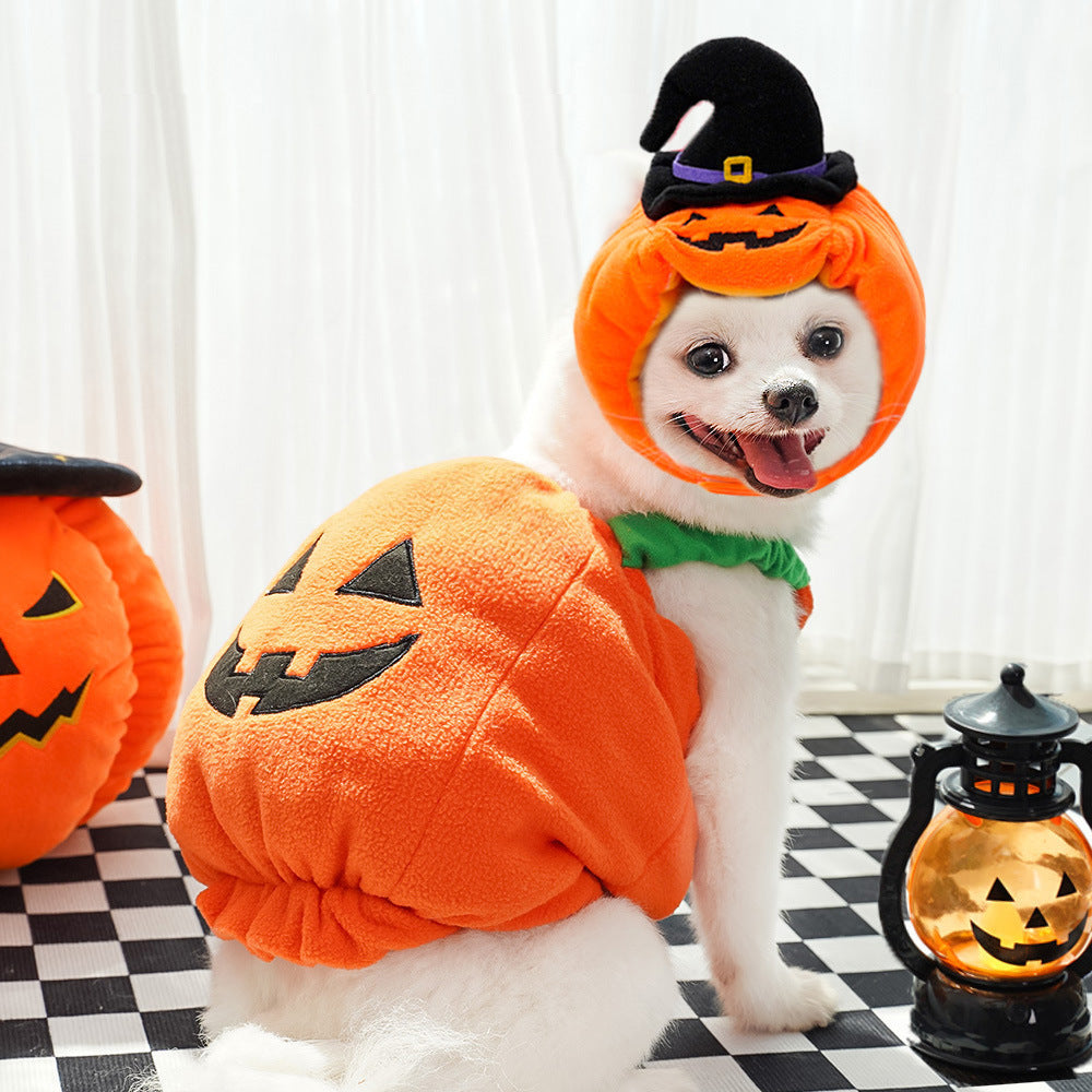 Halloween Pumpkin Vest For Dogs and Cats