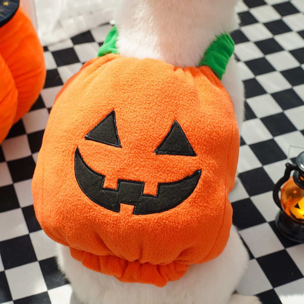 Halloween Pumpkin Vest For Dogs and Cats