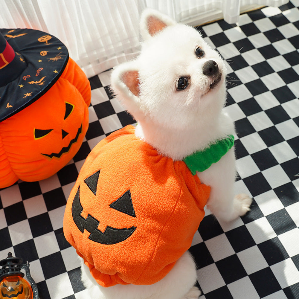 Halloween Pumpkin Vest For Dogs and Cats
