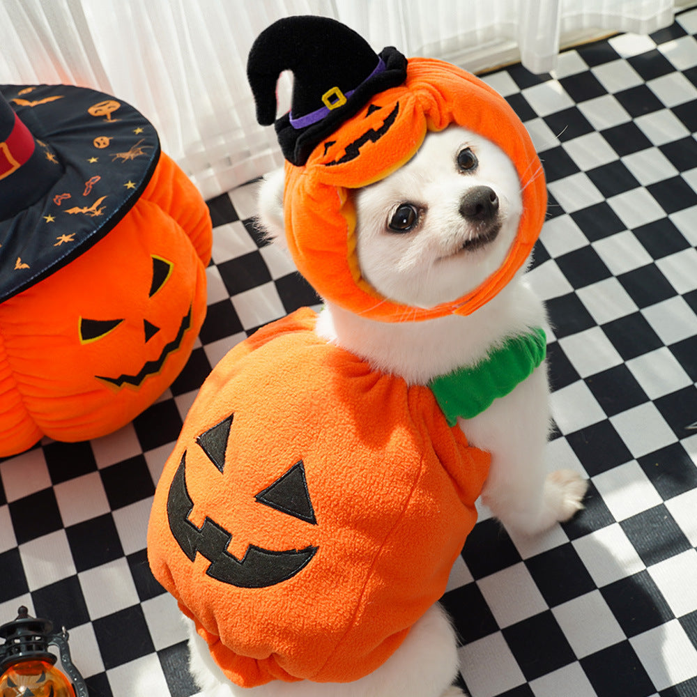 Halloween Pumpkin Vest For Dogs and Cats