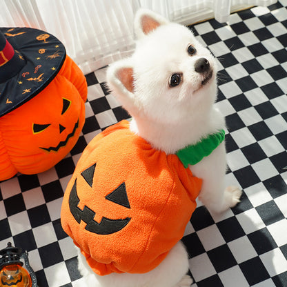 Halloween Pumpkin Vest For Dogs and Cats